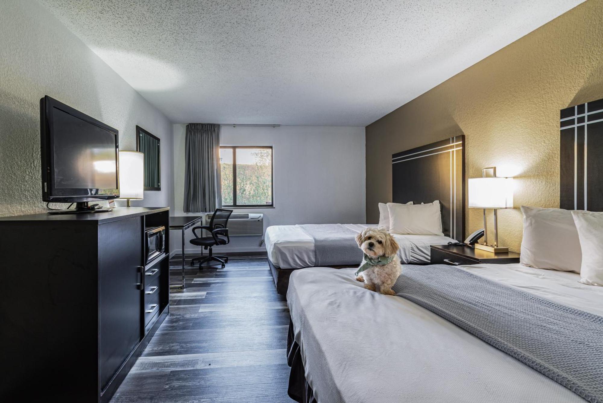Econo Lodge Cleveland Southeast - Kent Streetsboro Luaran gambar